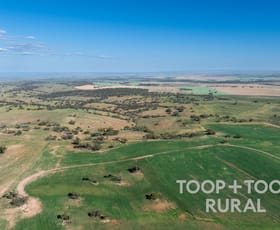 Rural / Farming commercial property for sale at Goyder Road Frankton SA 5374