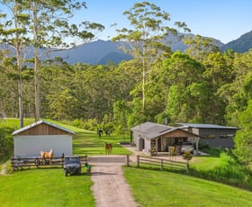 Rural / Farming commercial property for sale at 157 Boormans Road Tyalgum NSW 2484