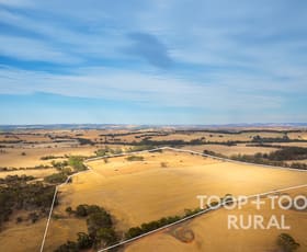 Rural / Farming commercial property for sale at Berry Road St Kitts SA 5356 Rural / Farming commercial property for sale at Berry Road St Kitts SA 5356