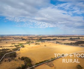 Rural / Farming commercial property for sale at Berry Road St Kitts SA 5356