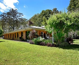 Rural / Farming commercial property for sale at 222 Coldwater Creek Road Nana Glen NSW 2450