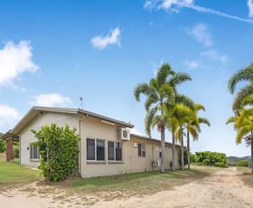 Rural / Farming commercial property for sale at 1151 Leafgold Weir Road Dimbulah QLD 4872