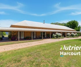 Rural / Farming commercial property for sale at 107 Wards Lane Meadow Creek VIC 3678