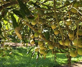 Rural / Farming commercial property for sale at 389 Teven Road Teven NSW 2478