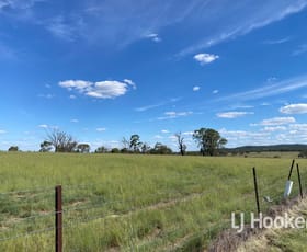 Rural / Farming commercial property for sale at 1223 Karoola Road Inverell NSW 2360