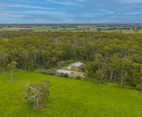Rural / Farming commercial property for sale at 375 Mahoneys Ford Road Panmure VIC 3265