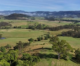 Rural / Farming commercial property for sale at Ellenborough NSW 2446