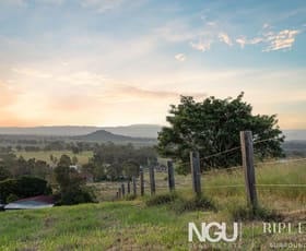 Rural / Farming commercial property for sale at 71 Litzows Road Tarampa QLD 4311