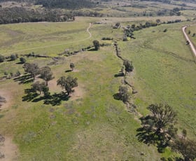 Rural / Farming commercial property for sale at "Abercorn", 2154 Kangarooby Road Gooloogong NSW 2805