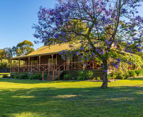 Rural / Farming commercial property for sale at 633 Hermitage Road Pokolbin NSW 2320