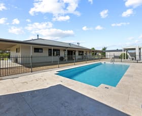 Rural / Farming commercial property for sale at 973 Henry Lawson Way Young NSW 2594