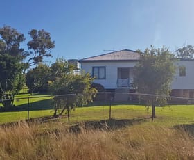 Rural / Farming commercial property for sale at 243 Mount Lindesay Rd Lindesay NSW 2347