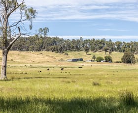 Rural / Farming commercial property for sale at 3600 Blessington Road Upper Blessington TAS 7212