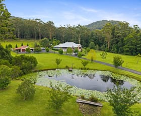 Rural / Farming commercial property for sale at 1780 Dooralong Road Lemon Tree NSW 2259
