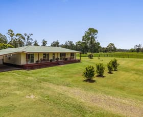 Rural / Farming commercial property for sale at 920 Busbys Flat Road Mongogarie NSW 2470
