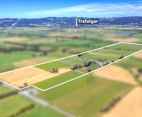 Rural / Farming commercial property for sale at 299 North Canal Road Trafalgar VIC 3824
