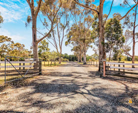 Rural / Farming commercial property for sale at 1375 Dandenong-Hastings Road Langwarrin VIC 3910 Rural / Farming commercial property for sale at 1375 Dandenong-Hastings Road Langwarrin VIC 3910