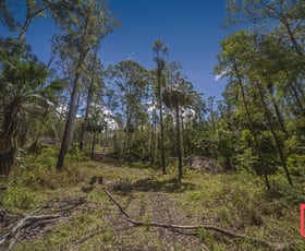 Rural / Farming commercial property for sale at 42 Turpentine Road Tomerong NSW 2540