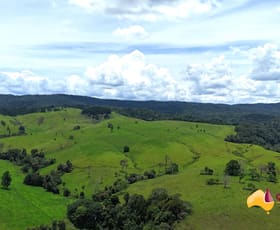 Rural / Farming commercial property for sale at Minbun QLD 4886