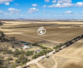 Rural / Farming commercial property for sale at 280/313 Pridham Road Kainton SA 5552