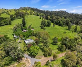 Rural / Farming commercial property for sale at 86 Hyne Estate Road Kandanga QLD 4570