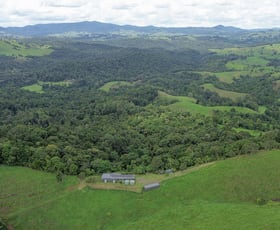 Rural / Farming commercial property for sale at Lot 291 Palmerston Highway Mungalli QLD 4886 Rural / Farming commercial property for sale at Lot 291 Palmerston Highway Mungalli QLD 4886