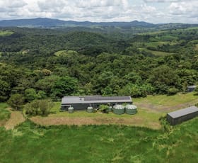 Rural / Farming commercial property for sale at Lot 291 Palmerston Highway Mungalli QLD 4886