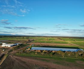 Rural / Farming commercial property for sale at 5104B Murray Valley Highway Castle Donnington VIC 3585 Rural / Farming commercial property for sale at 5104B Murray Valley Highway Castle Donnington VIC 3585
