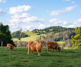 Rural / Farming commercial property for sale at 4980 Illawarra Highway Robertson NSW 2577 Rural / Farming commercial property for sale at 4980 Illawarra Highway Robertson NSW 2577