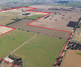 Rural / Farming commercial property for sale at 520 Mayrung Road Finley NSW 2713 Rural / Farming commercial property for sale at 520 Mayrung Road Finley NSW 2713