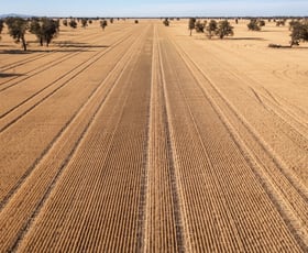 Rural / Farming commercial property for sale at CA 37B & CA 38A Natimuk-Hamilton Road Noradjuha VIC 3409