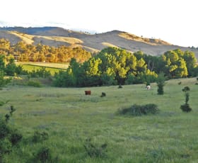 Rural / Farming commercial property for sale at 30 Hanley & Moon Street Gundagai NSW 2722