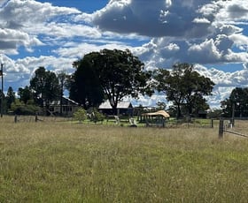 Rural / Farming commercial property for sale at Dunedoo NSW 2844 Rural / Farming commercial property for sale at Dunedoo NSW 2844