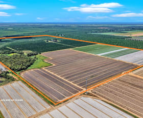 Rural / Farming commercial property for sale at 195 Pashleys Road Welcome Creek QLD 4670