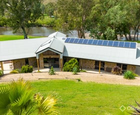 Rural / Farming commercial property for sale at 4099 River Road Jingellic NSW 2642 Rural / Farming commercial property for sale at 4099 River Road Jingellic NSW 2642