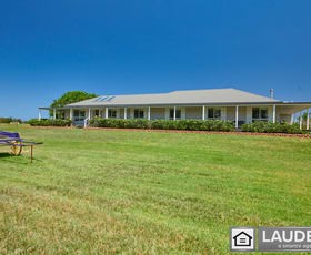 Rural / Farming commercial property for sale at 700 Manning Point Road Oxley Island NSW 2430