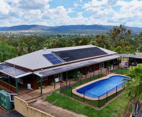 Rural / Farming commercial property for sale at 8 White Street Bingara NSW 2404 Rural / Farming commercial property for sale at 8 White Street Bingara NSW 2404