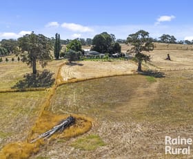 Rural / Farming commercial property for sale at 12 Tiers Road Woodside SA 5244 Rural / Farming commercial property for sale at 12 Tiers Road Woodside SA 5244