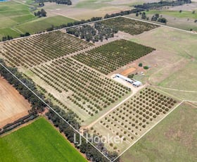 Rural / Farming commercial property for sale at 1086 Kaloorup Road, Kaloorup WA 6280 Rural / Farming commercial property for sale at 1086 Kaloorup Road, Kaloorup WA 6280