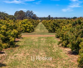Rural / Farming commercial property for sale at 1086 Kaloorup Road, Kaloorup WA 6280