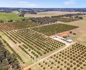 Rural / Farming commercial property for sale at 1086 Kaloorup Road, Kaloorup WA 6280 Rural / Farming commercial property for sale at 1086 Kaloorup Road, Kaloorup WA 6280