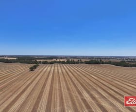 Rural / Farming commercial property for sale at Loddon West Road Serpentine VIC 3517