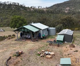 Rural / Farming commercial property for sale at 1572 Bunnan Road Scone NSW 2337