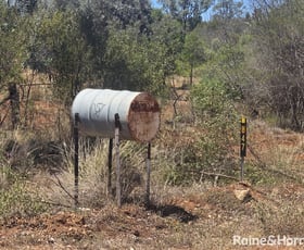 Rural / Farming commercial property for sale at 647 Sweedmans Road Limevale QLD 4384