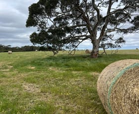 Rural / Farming commercial property for sale at 490 East West Two Highway Seddon SA 5223