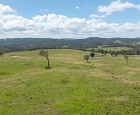 Rural / Farming commercial property for sale at "Glen Bluff" 222 Riverview Road Wards Mistake NSW 2350