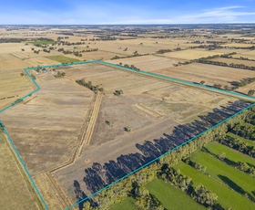 Rural / Farming commercial property for sale at 197 Leafs Road Nathalia VIC 3638
