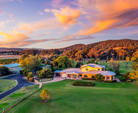 Rural / Farming commercial property for sale at 95 Eurunderee Lane Mudgee NSW 2850