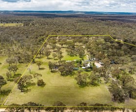 Rural / Farming commercial property for sale at 97 Springwood Park Road Mudgee NSW 2850
