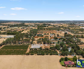 Rural / Farming commercial property for sale at 121 Milne Road Kudla SA 5115